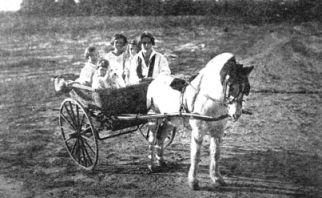 Girls being pulled in a horse-drawn cart. Black and white photo.