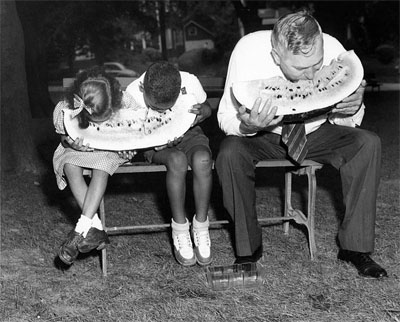 A man, Cherry, and two children eat watermelon. They are hunched over large slices of fruit, seated.