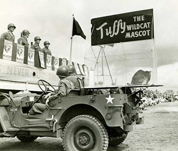 &quot;Tuffy,&quot; the mascot of the 81st Division in World War II. Image from the North Carolina Museum of History.