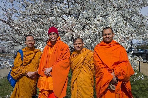 &quot;Four Buddhist monks, who live in North Carolina, photograph each other among the cherry trees. The men are originally from Thailand.&quot; Image courtesy of Flickr user U.S. Embassy Tokyo. 