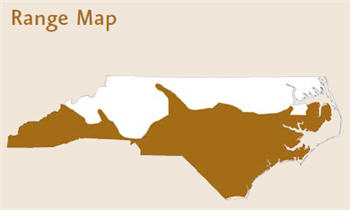 Map of NC with the words &quot;Range Map&quot; and dark tan shading on the southern portion of the state.