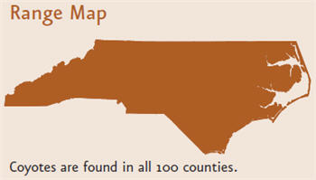 Map of North Carolina titled &quot;Range Map&quot; with the entire state shaded. Text on bottom reads &quot;coyotes are found in all 100 counties.&quot;