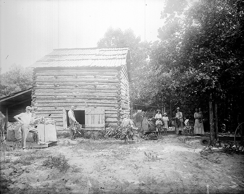 Curing tobacco. From the Barden Collection, North Carolina State Archives, call #:  N.53.16.4450. 