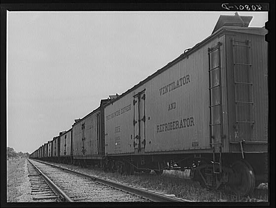 &quot;Freight cars at Camden, North Carolina, grading station. All along the line are potatoes being loaded .&quot; Created by Jack Delano, 1940. 