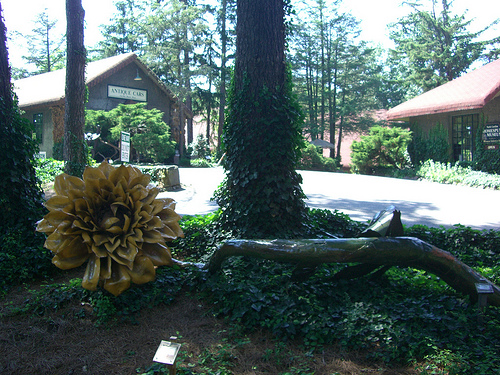 &quot;Grovewood Gallery, Asheville, June 2009.&quot; Image courtesy of Flickr user Rodny Dioxin. 