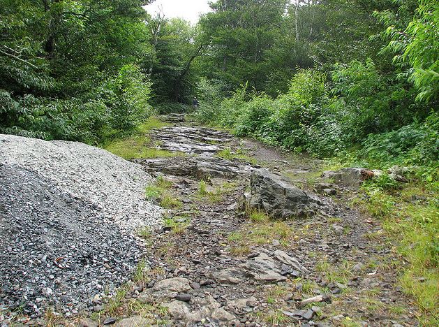 Trail in Elk Knob State Park. &quot;Elk Knob NC SP 0933,&quot; photograph by bobistraveling, May 22, 2011.  On Flickr.  Used under Creative Commons License CC BY 2.0.