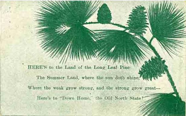 Image of postcard with excerpt from Leonora Monteiro Martin's poem &quot;The Old North State,&quot; with drawing of green pine branch, 1908. Item H.1953.38.150 from the collection of the North Carolina Museum of History.  Used courtesy of the North Carolina Department of Natural and Cultural Resources.