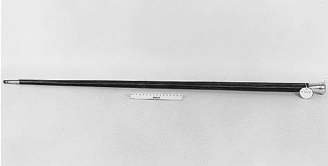 Photograph of a walking stick given to President Andrew Johnson by James Lyons, August 1866.  An engraving on the stick reads: &quot;Presented to Andrew Johnson President of the United States The Restorer of the Constitution.&quot;  Item held in the collections of the N.C. Museum of History.  