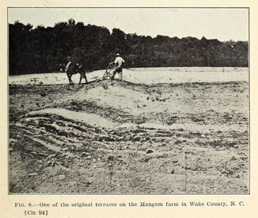 Photograph of &quot;One of the original terraces on the Mangum farm in Wake County, N.C.,&quot; from J.S. Cates' <i>The Mangum terrace in its relation to efficient farm management</i>, p. 9, published 1912 by the U.S. Department of Agriculture, Bureau of Plant Industry.  Presented on Archive. org. 