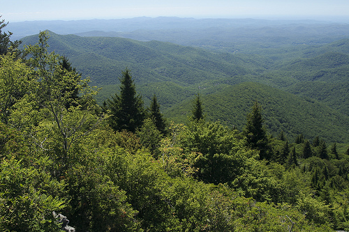 &quot;At 5720 feet overlooking tthe Nantahala National Forest from Devil's Courthouse.&quot;Image courtesy of Janet Tarbox.