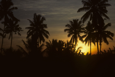 Sunset, Aug 1986