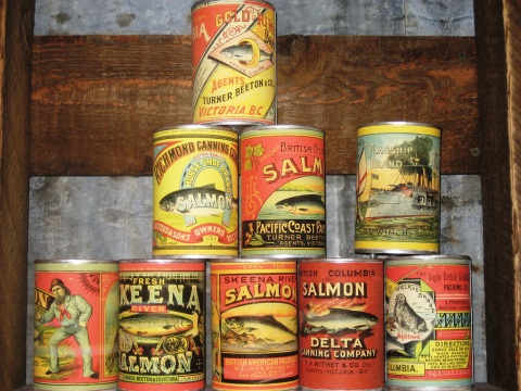 Vintage salmon