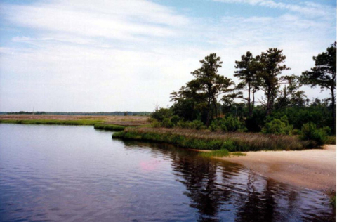 Federal Point basin