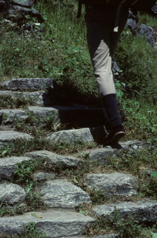 Climbing the trail