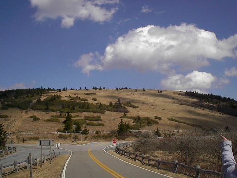 Roan Mountain