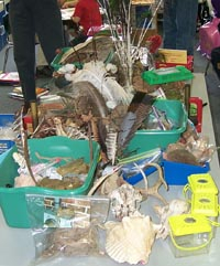 Science table