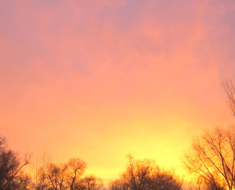 The sky at sunrise