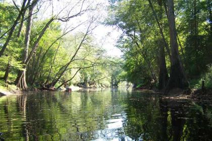 "Trent River beginning at Comfort, NC to Chinquapin Chapel Road, State Road # 1129 bridge." Photo courtesy of Waterway Stewards.